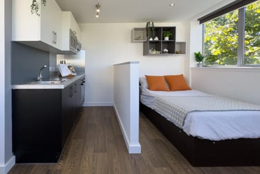 1 bed studio, 170 Armada Way, City Centre, Plymouth, PL11LB - Image 3